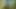 Amateur boy masturbating in the forest