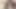 Indian Bigcock