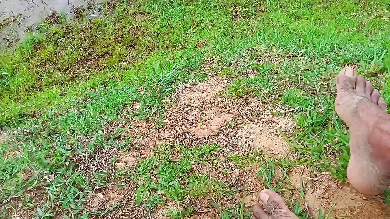 Mengapa tidak! Aku akan menyetubuhimu di Taman Umum