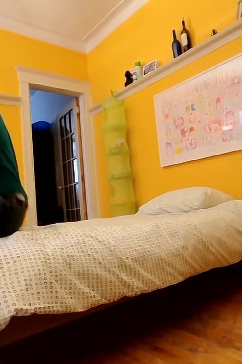 Una buona notte termina con una scopata