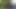 Long Black Cock Fucking Petite White Girl