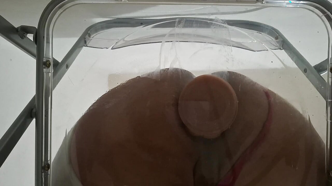 Trans Fat Ass Gwen Facesitting and Anal Fucked with Creampie through Clear Chair for the First Time.