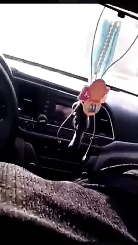 Woman in a hijab sucks Christian cock in the car