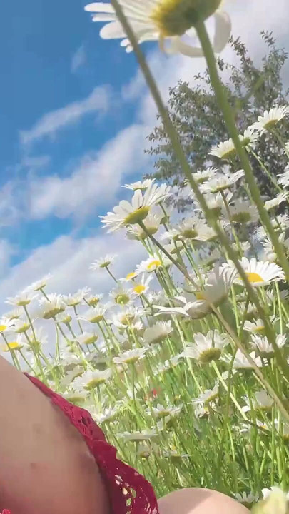 piss for gardend on the grass beautifull | Clip 1