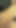Ağıza boşalma anı "Bu Asyalı milf (orta yaşlı kadin) binerken dövmeleri inanılmaz seksi görünüyor"