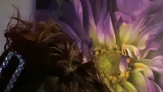 Son damlaya kadar iyi