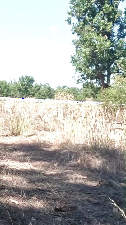 Menghukum budak seks gadis ini