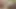 Taze gravure modelleri birlikte yakalandı mucize beş yollu grup çekimi