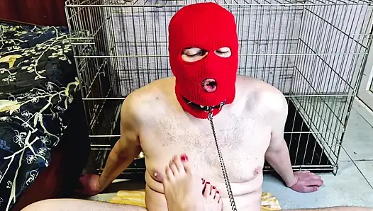 Cewek dominatriks menggoda budak seksnya dengan memberinya kesempatan untuk ngentot kakinya, tapi jangan sampai budak seks ini crot banyak banget