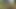 継母の肛門に指を入れて素早くイカした