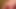 Sounding 6mm and masturbating