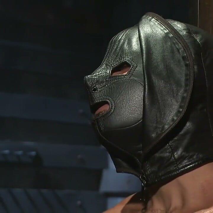 The Return of Rocco Steele