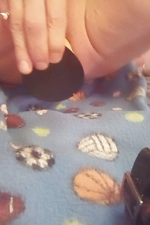 Mellissa ขับรถแก้ผ้า