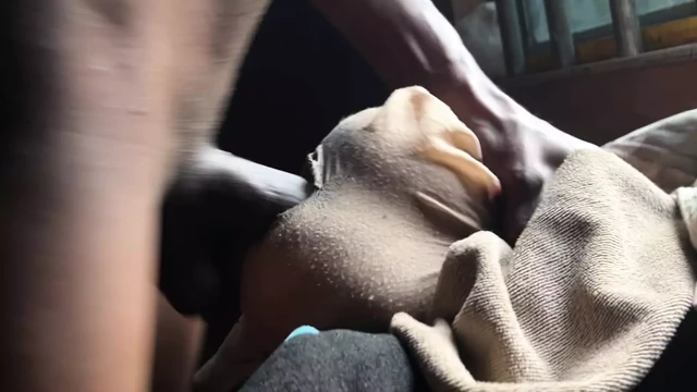Big slut fucking xvid part 2