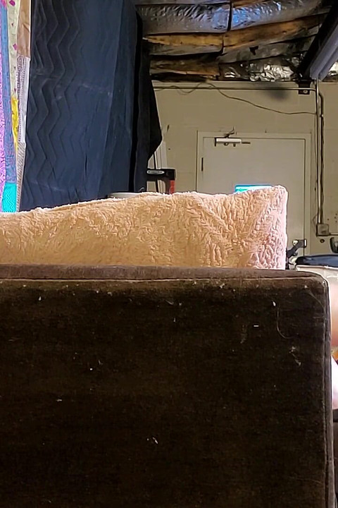 Bts an Artist and His Muse