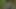 Otostopçu kız yabancı sürücüyü yüze oturan kölesine dönüştürüyor