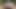 I need to fuck