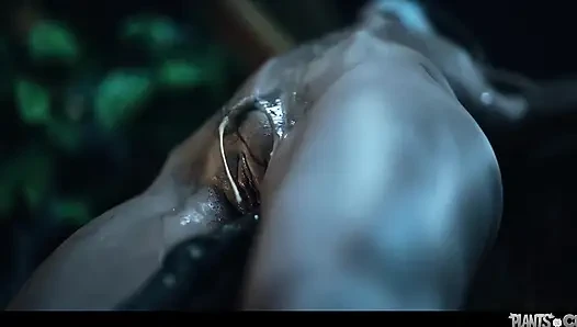 Tanaman Vs Memek Vol. 11