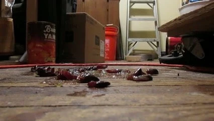 Grape Crush Under Black feet