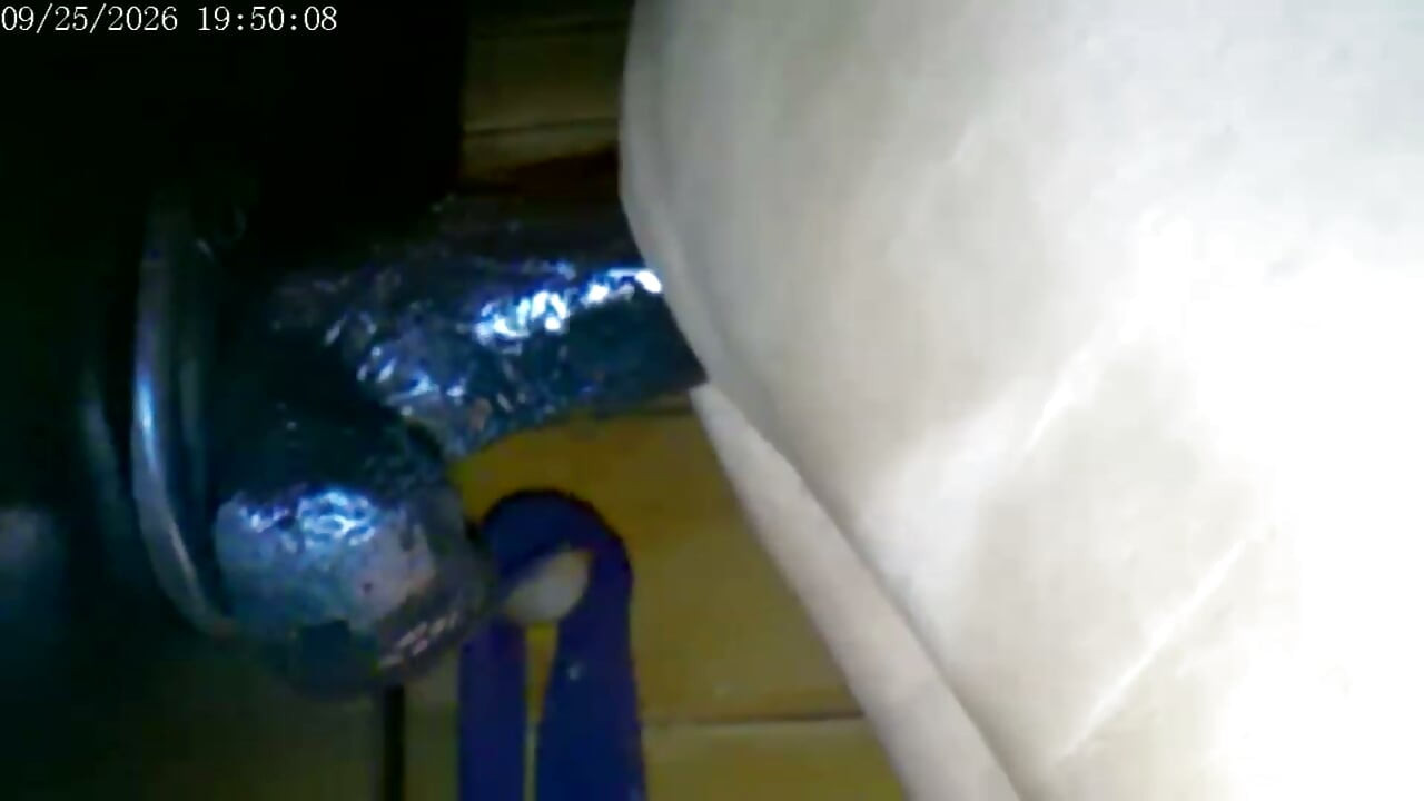 9-25-26 Cam 2 Compilation Friday Friends Day Toy Ride Thank You for Driving My Ranking and Revenue Love to You All.