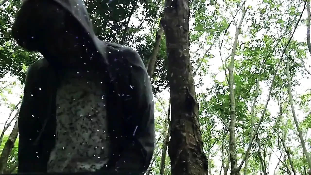Thai Jungle Ladyboys