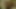 Meine Frau genießt ihren BBC