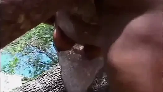 Memek hitam dan putih hitam seksi ngentot di taman