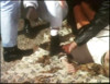 Pratinjau video