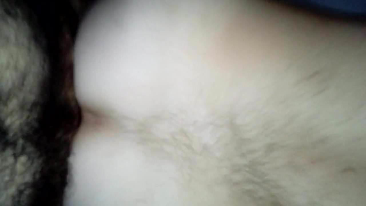 Little bear