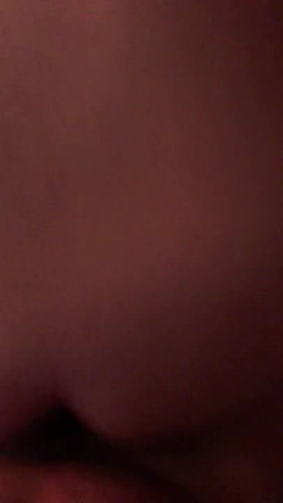 Сперматозадник