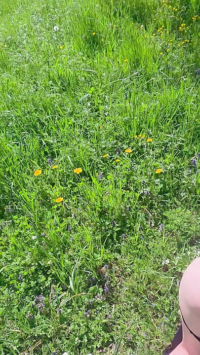 Süßes häschen wurde von einem fremden auf dem grünen feld gefickt.