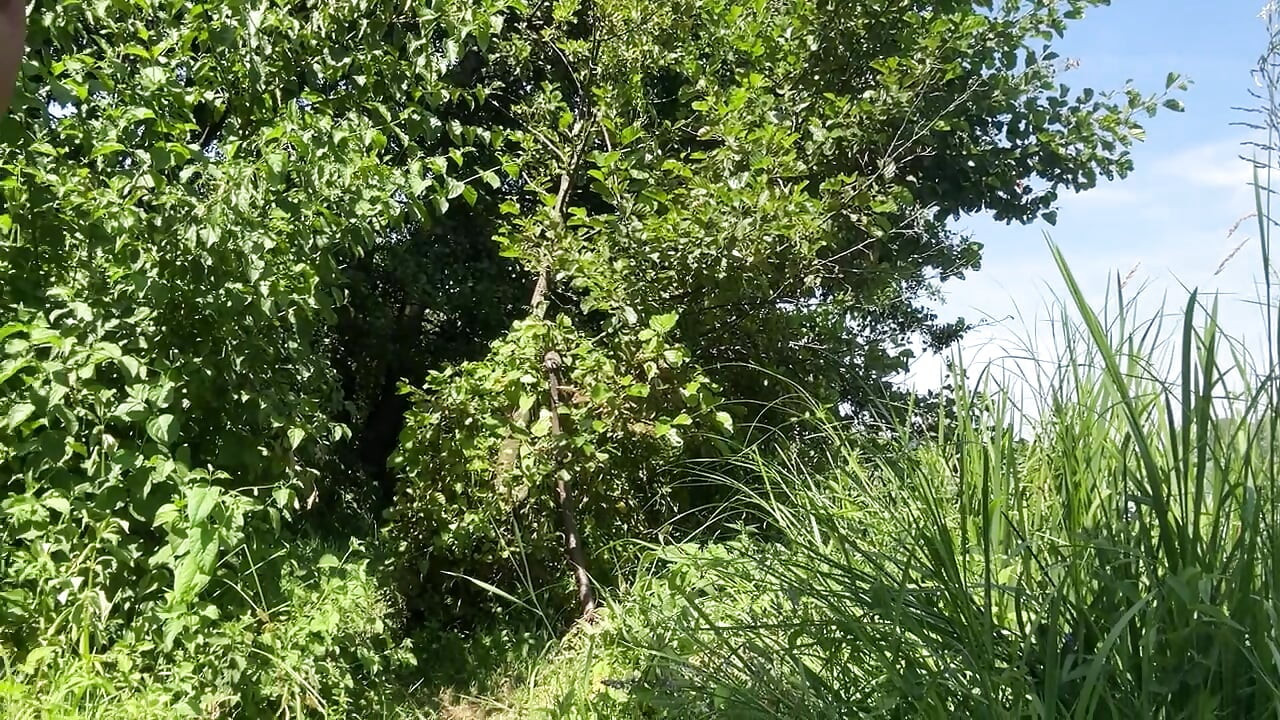 Bobot di luar ruangan