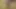 Teen boy wearing sexy slut outfit in forest