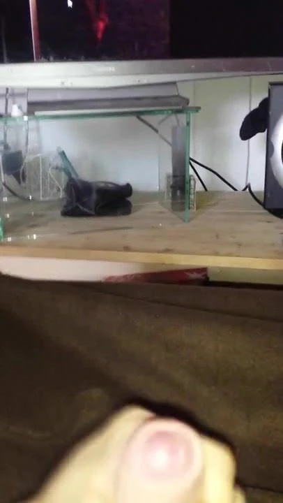 Lydia die scharfe  Schnecke