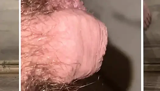 Post Shrinking Piss Break