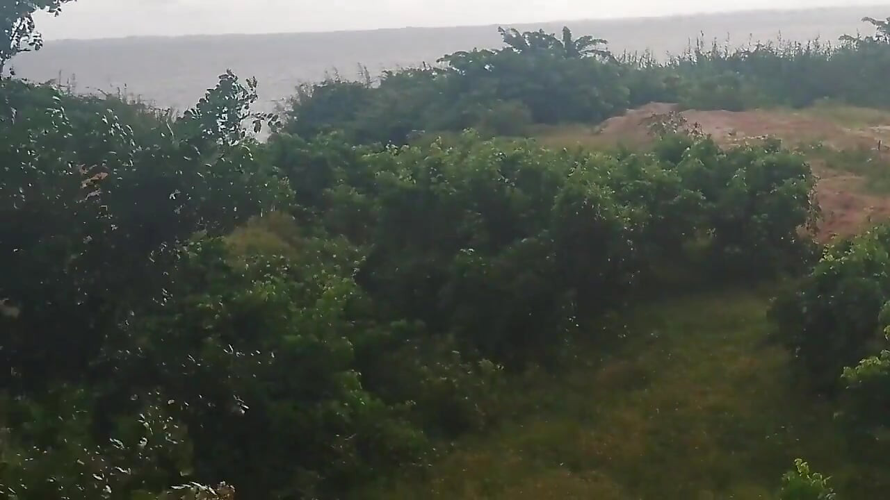 She's a Good Friend of Mine Completed Building