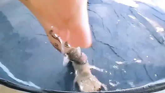 goddesslolli WATER-GLOVES-FEET