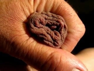 mature meat