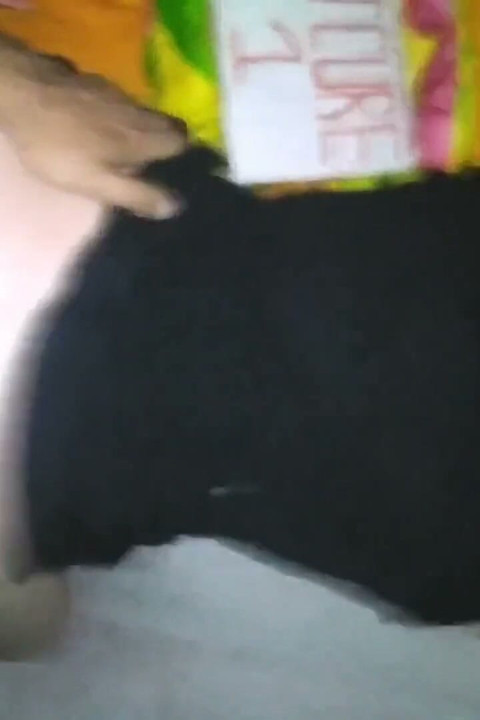 Compilation 24