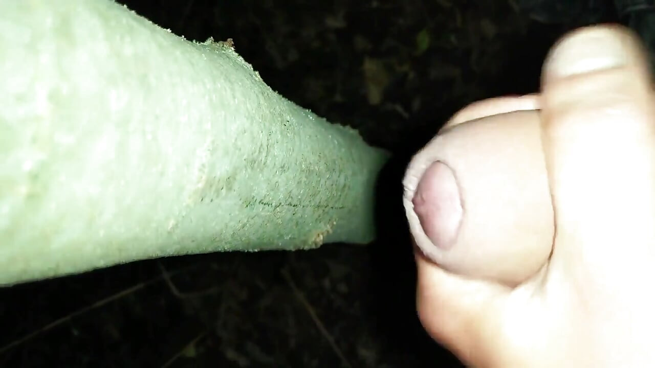 Jag lade till min sperma på "cruising cum tree"