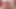 Golden Slut - Aunties and Grannies, Blowjob Compilation