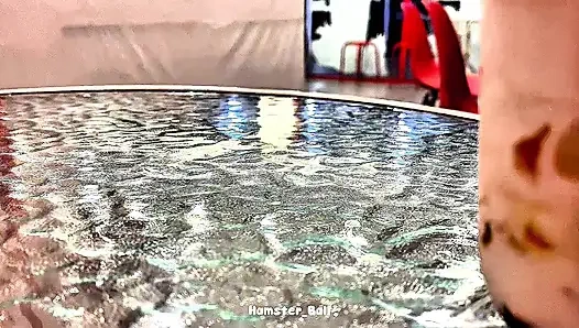 Cheating on My Friend's MILF Muslim Wife, From Cafe to Home for Sex