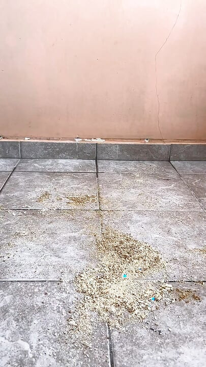 Hot Teenboy crushes Snacks in Nike Air Force 1