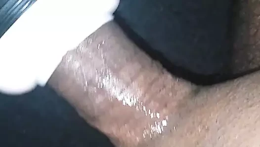 lanet benim yeni küçük kedi