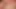 bbw-SEXI