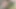 Public blowjob in forest by a gay slut part 2