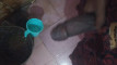 Pratinjau video
