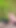Horny in Forest