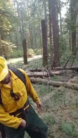nature cum