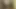 Despedida de solteiro foi com a travesti gostosa Vitoria